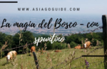 La Magia del Bosco- con spuntino- Domenica 12 Agosto 2018