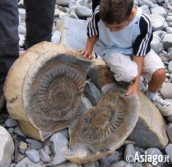 bimbo e fossile bimbo e fossile