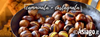 Castgnat camminat 18 fb Castgnat camminat 18 fb