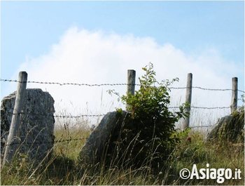 Cesuna 2 luglio