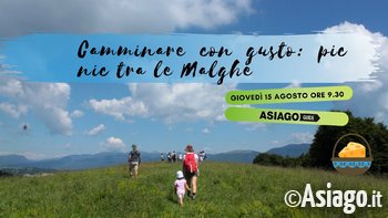 Copertine eventi agosto 2019 13 Copertine eventi agosto 2019 13