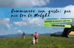 Walking with taste: picnic in the Malghe - Thursday 15 August 2019