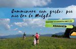 Wandern mit Geschmack: Picknick in der Malghe - Donnerstag 15. August 2019