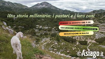 Copertine eventi agosto 2019 14 Copertine eventi agosto 2019 14
