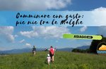 Walking with taste: picnic in the Malghe- Saturday 24 August 2019