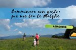 Camminare con gusto: pic nic tra le Malghe- Sabato 24 Agosto 2019