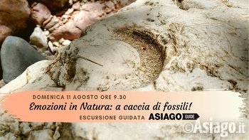 Copertine eventi agosto 2019 3 Copertine eventi agosto 2019 3