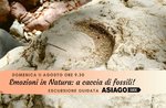 Emotionen in der Natur: Auf der Jagd nach Fossilien! - Sonntag, August 11, 2019