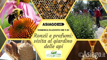 Copertine eventi agosto 2019 9 Copertine eventi agosto 2019 9