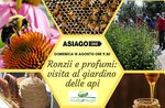 Ronzii e profumi: visita al giardino delle api- Domenica 18 agosto 2019