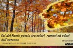 With the Remi: Poetry between colors, noises and smells of autumn - Sunday, Oct 13