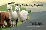 Copertine eventi giugno 2019 6 Copertine eventi giugno 2019 6