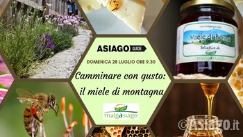 Copertine eventi luglio 2019 14 Copertine eventi luglio 2019 14