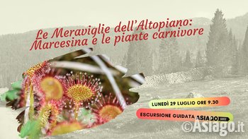 Copertine eventi luglio 2019 15