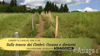 Copertine eventi luglio 2019 6 Copertine eventi luglio 2019 6