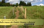 Sulle tracce dei Cimbri: Cesuna e dintorni -  Lunedì 15 luglio 2019