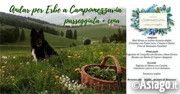 Erbe campo Erbe campo