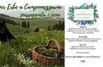 Andar per Erbe a Campomezzavia- Sabato 18 Maggio 2019