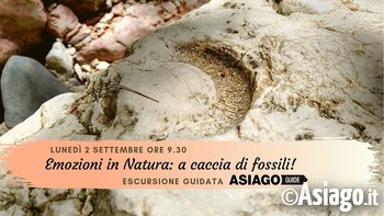 Fossili sett Fossili sett