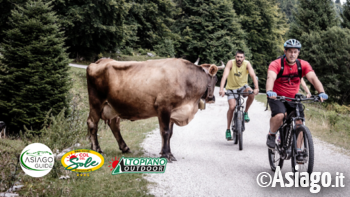 Giro delle malghe in ebike asiagoguide Giro delle malghe in ebike asiagoguide