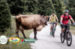 Giro delle Malghe in e-bike - Venerdì 4 Settembre 2020