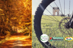 Emozioni in Natura il foliage in e-bike -  Sabato 17 Ottobre 2020 dalle 9.00