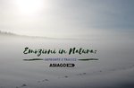 Emozioni in Natura- Domenica 27 Gennaio 2019