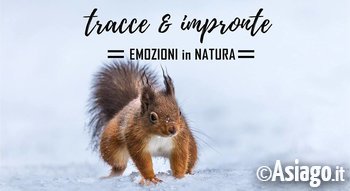 Impronte tracce Impronte tracce