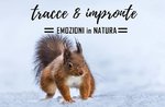 Impronte & Tracce: Emozioni in Natura- Domenica 11 Febbraio 2018