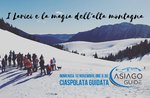 I Larici e la magia dell'alta montagna- Domenica 10 Novembre 2019