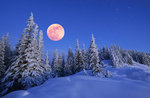 Tintarella di Luna: Saturday 31 March with full moon snowshoe hike-2018