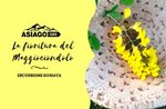 The flowering of Maggiociondolo-Sunday, May 26, 2019