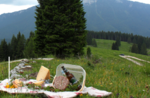 Pic nic tra le Malghe - Domenica 22 Luglio 2018