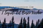 I segreti del bosco vecchio- Domenica 13 Gennaio 2019