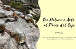 Tra natura e arte al Parco del Sojo - Giovedì 25 Aprile 2019