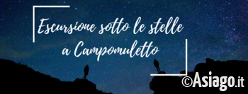 Stelle campomuletto Stelle campomuletto