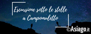 Stelle campomuletto