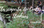 Alla scoperta dei Cimbri - Stonhaus - Domenica 1 Luglio 2018