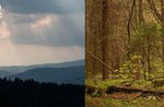 Emozioni in natura – La trappola dell’orso - Mercoledì 25 agosto 2021 dalle 9:30