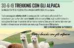 Trekking with Alpacas by Asiago Guides and alpaca breeders together for the charity organization "#adottaunalbero - E ... STATE IN MARCESINA" - Sunday 30 June 2019