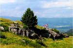 Kriegspfaden: Mount Zovetto, geführte, Samstag, 29. Juli 2017