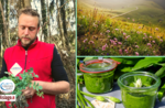 Going for herbs at sunset with dinner - Saturday 7 May 2022 from 18:00