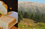 Experiences in Malga: aperitif at Malga Larici - Saturday 9 July 2022 from 16.00