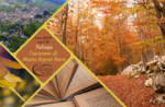 Foliage: L'autunno di Mario Rigoni Stern - Domenica 23 ottobre 2022 dalle 9:30