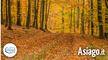 autunno asiago guide