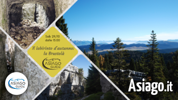 Brustola asiago guide