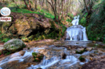 Emotions in nature: The Silan Falls - Sunday 20 March 2022 from 9.30 am