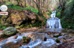 Emozioni in natura: Le Cascate del Silan - Domenica 20 marzo 2022 dalle 9.30