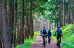 Mit dem E-Bike durch Wald und Quartiere - Dienstag 30. August 2022 ab 9.30 Uhr