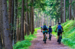 By e-bike from Valdassa to the huts - Wednesday 27 July 2022 from 9.30 am